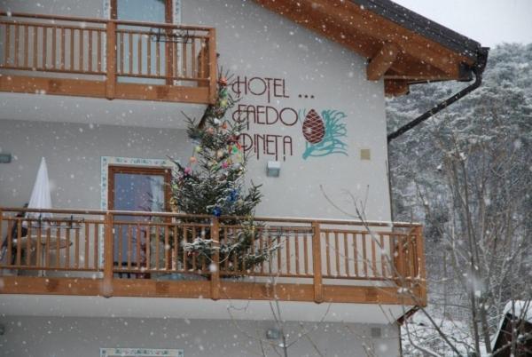 Hotel Faedo Pineta Rom bilde