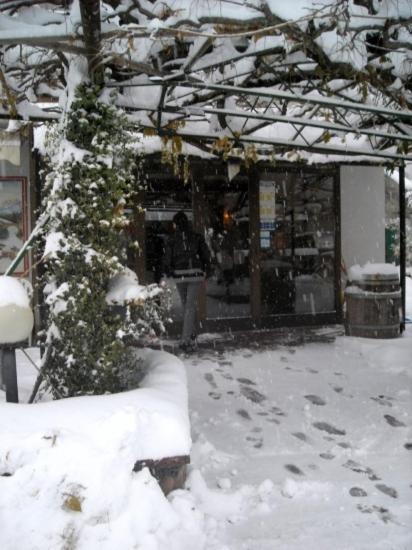 Hotel Faedo Pineta Rom bilde